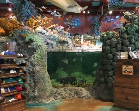 Bass Pro Shop Leeds