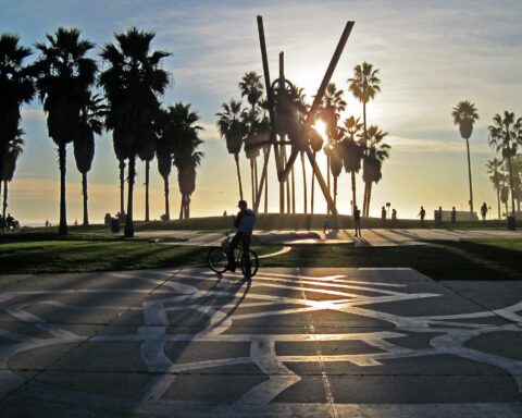 Venice Beach petty thief