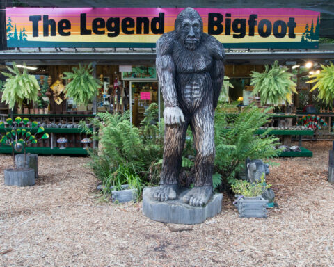 Bigfoot - Pontotoc County