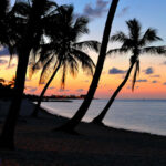 Florida beach - Florida woman