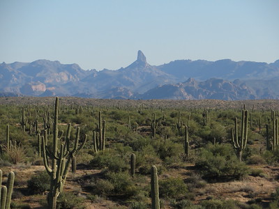 Tonto National Forest