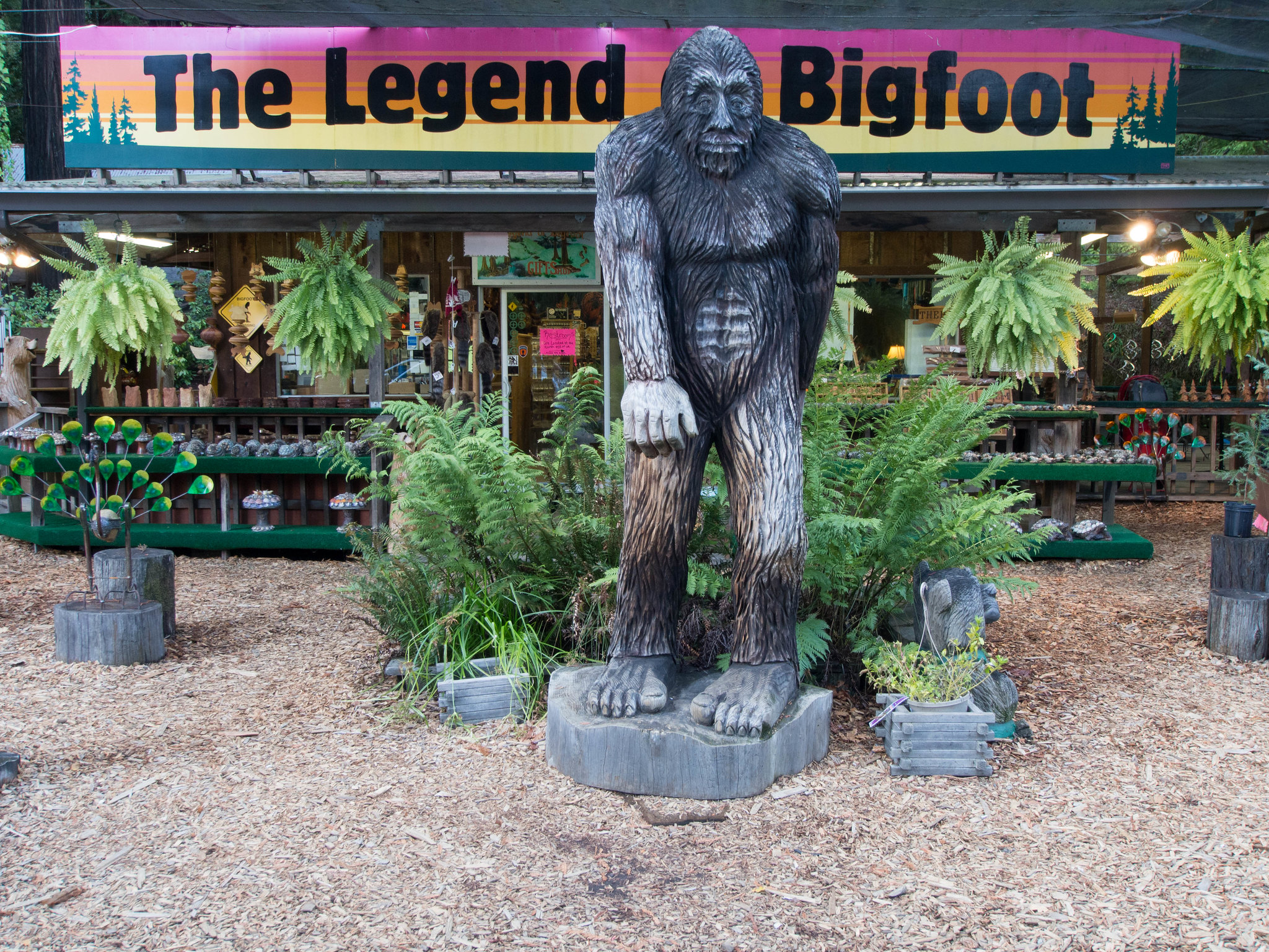 Bigfoot - Pontotoc County