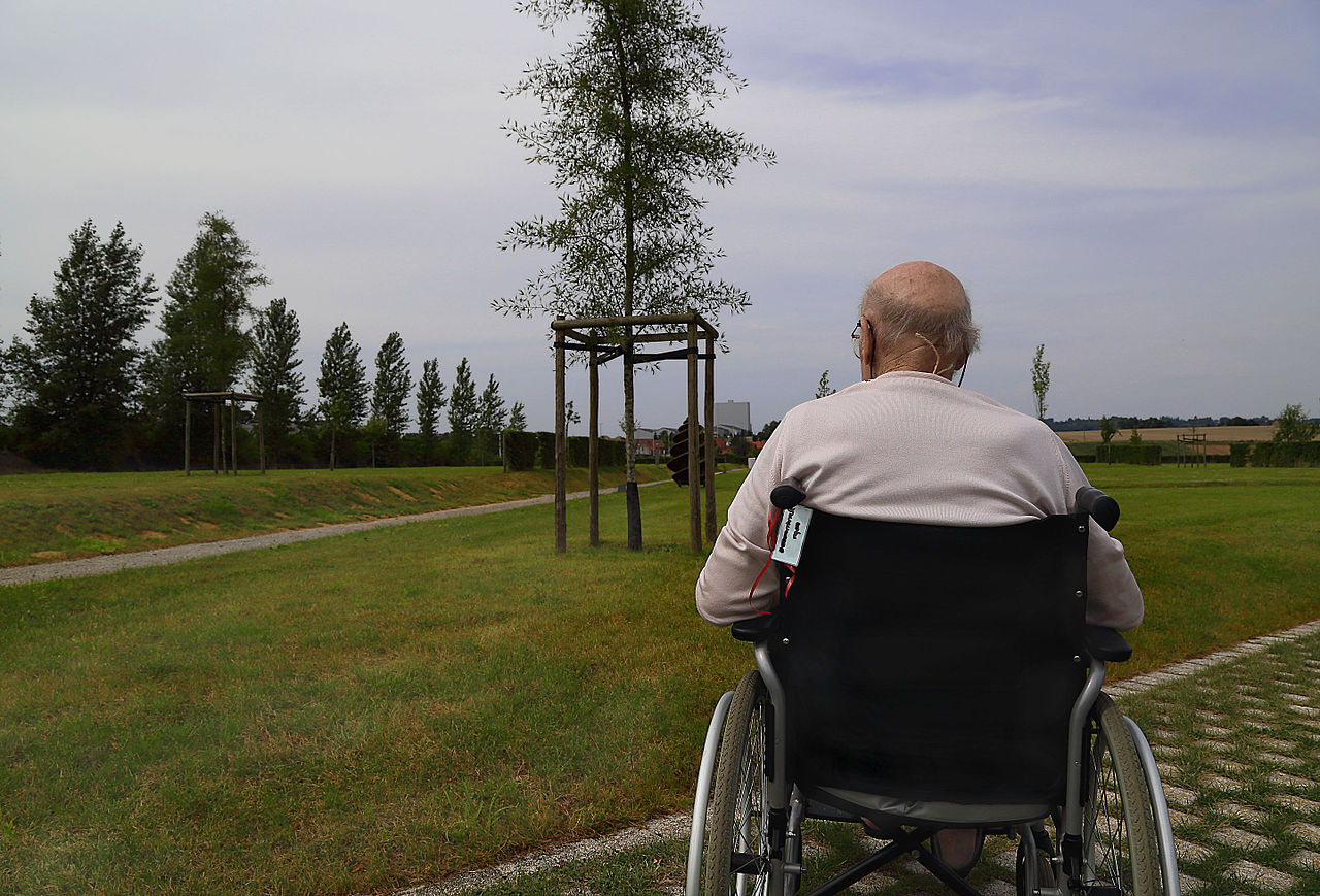Old man wheelchair - Brazilian woman
