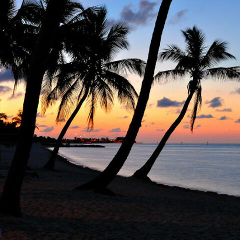 Florida beach - Florida woman