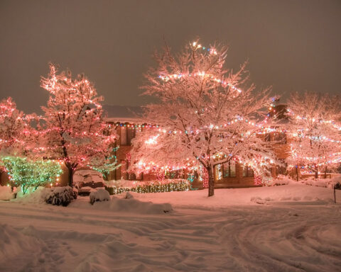 Christmas light installer