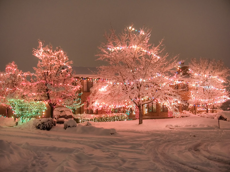 Christmas light installer