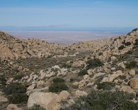 Hikers Jucumba Wilderness