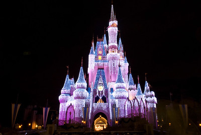 Disney World - Massachusetts man