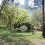 Central Park
